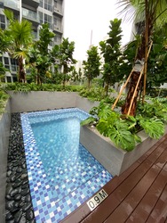 The Alps Residences (D18), Condominium #212306701